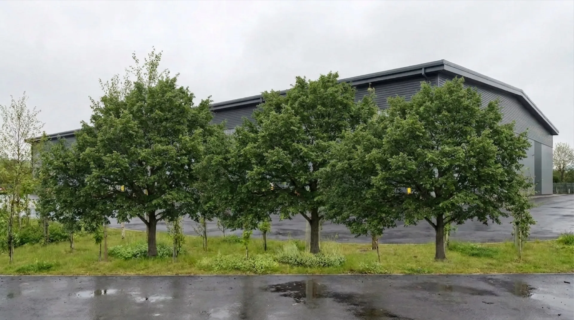 Warehouse landscape growth CGI year ten showing substantial canopy closure with eight to twelve metre trees and only the warehouse roofline and parapet visible